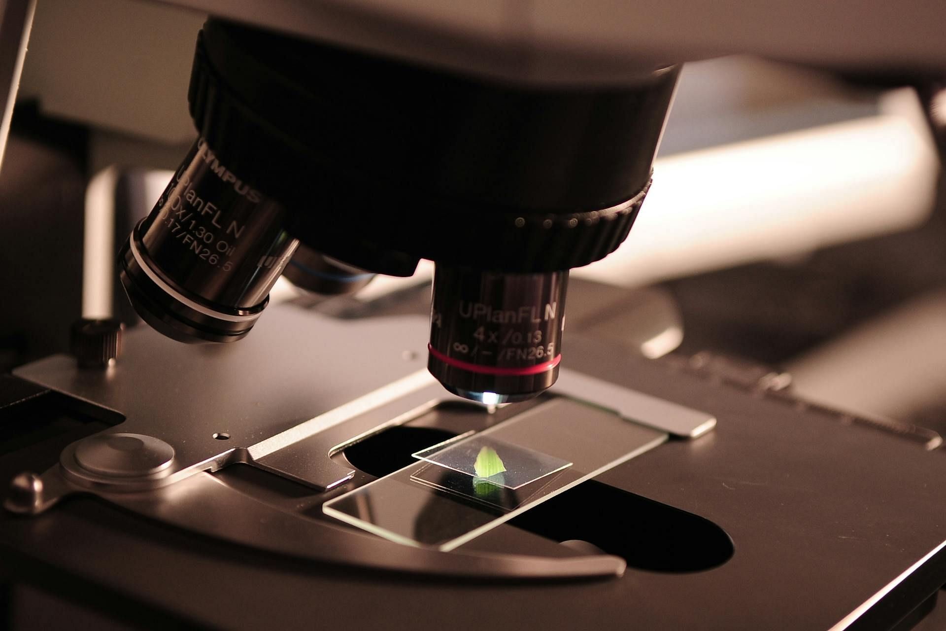 The victims' identities were identified with DNA examination (Image via Pexels)